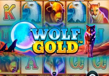Слот Wolf Gold в казино СпинВин